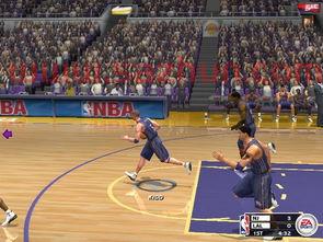 nba2003