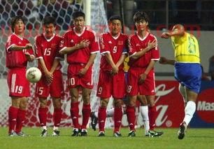 2002年中国进了世界杯